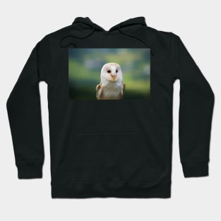 Barn Owl Illustration Hoodie